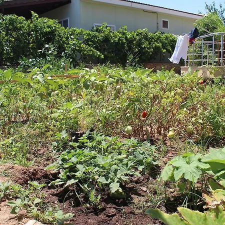 Aparthotel Deniz Apart