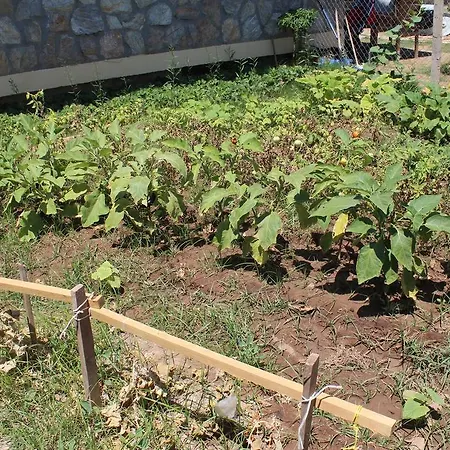 Aparthotel Deniz Apart