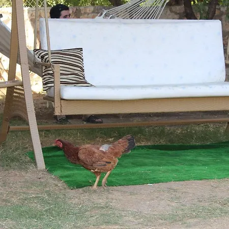 Aparthotel Deniz Apart Palamutbuku